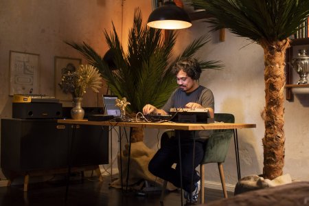 künstliche Palme Areca XXL kaufen